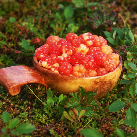 Il frutto dorato del Nord che conquista il mondo